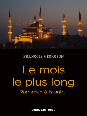cover image of Le mois le plus long